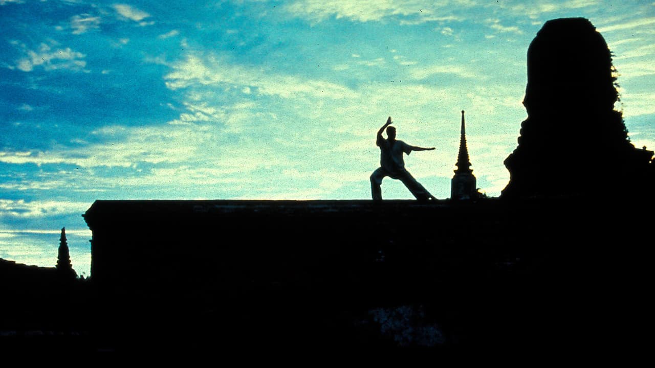 Kickboxer: Contacto sangriento
