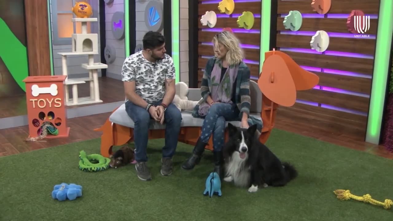 Verónica Jaspeado comparte cómo es la ‘terapia de amor’ que le da a su mascota Beluga Rock