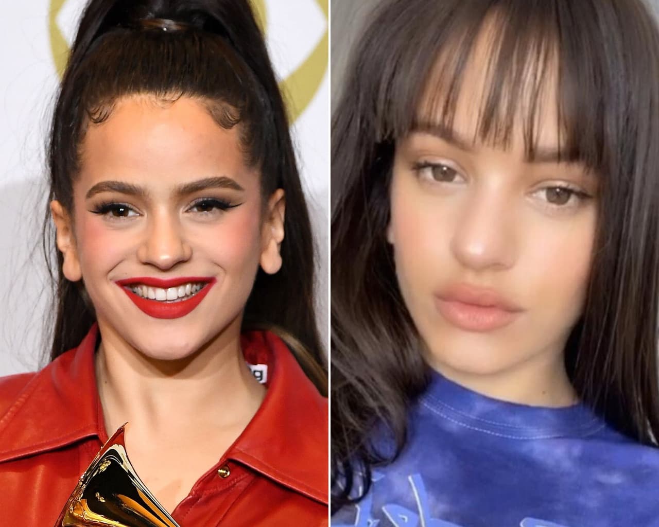 Los fans de Rosalía solían estar acostumbrados a su melena larga y al natrual, sin embargo, la cuarentena hizo sus estragos en la cantante y terminó cortando su propio cabello, presumiendo su nuevo fleco.