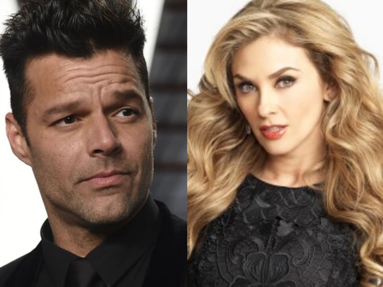¿Ricky Martin y Aracely Arámbula peleados por un amor?