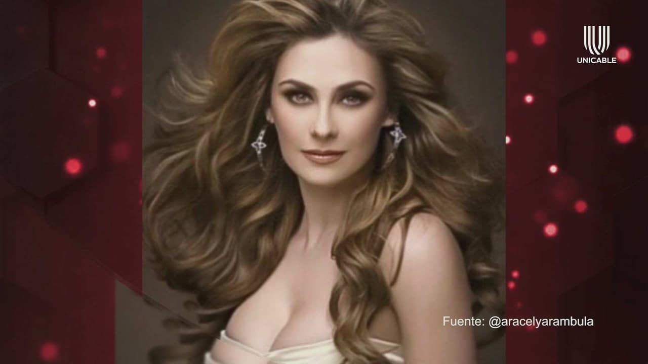 Aracely Arámbula no permitirá que se le mencione en la serie de Luis Miguel; ella desea contar su historia