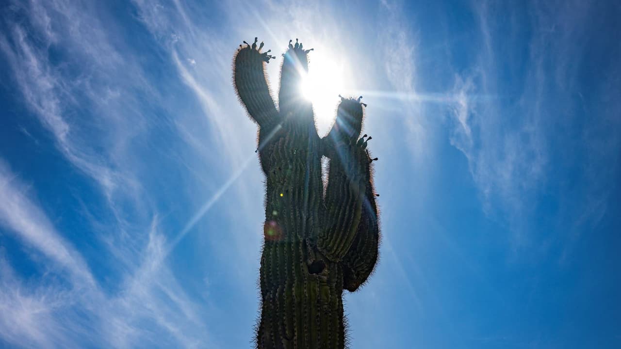 Arizona tuvo esta semana el que ha sido el día más caluroso del año