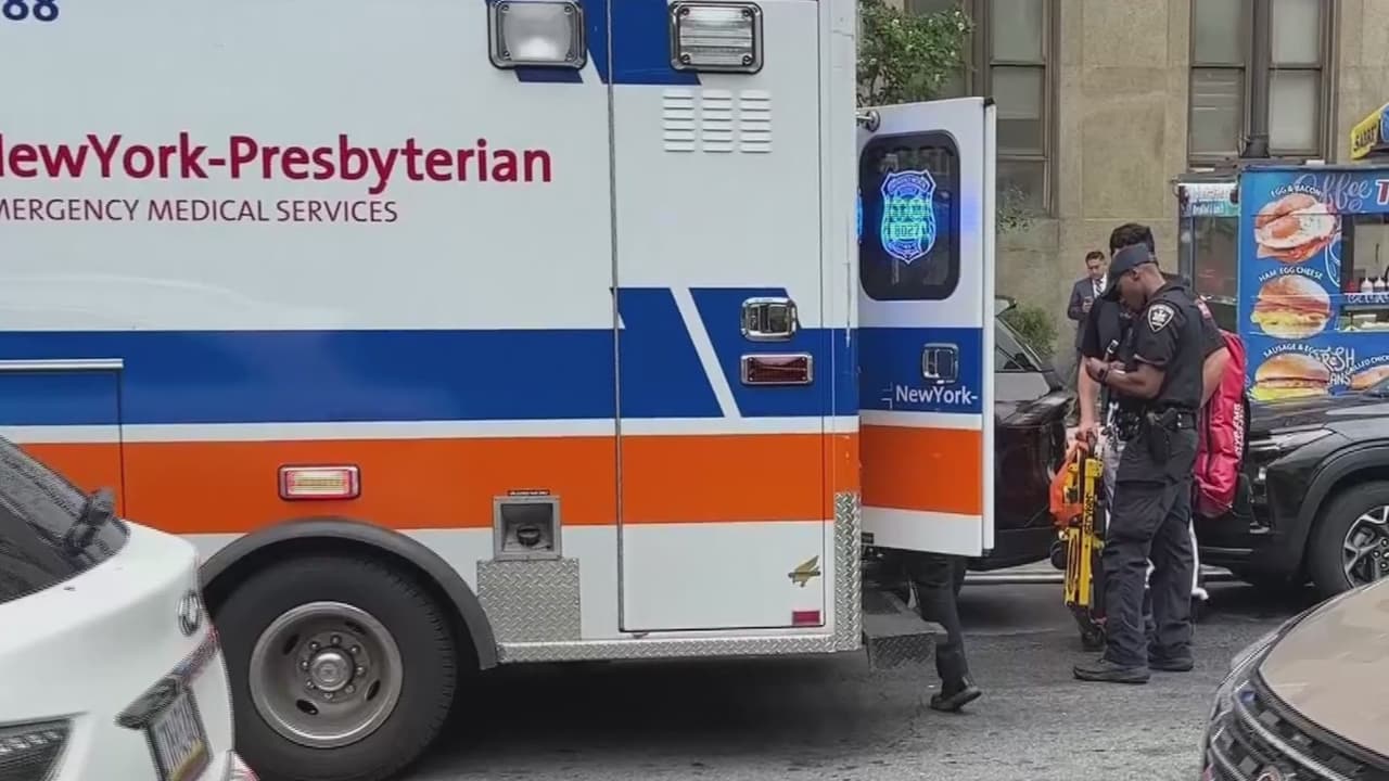 Detienen al sospechoso de agredir a tres oficiales en una Corte de Manhattan: esto se sabe