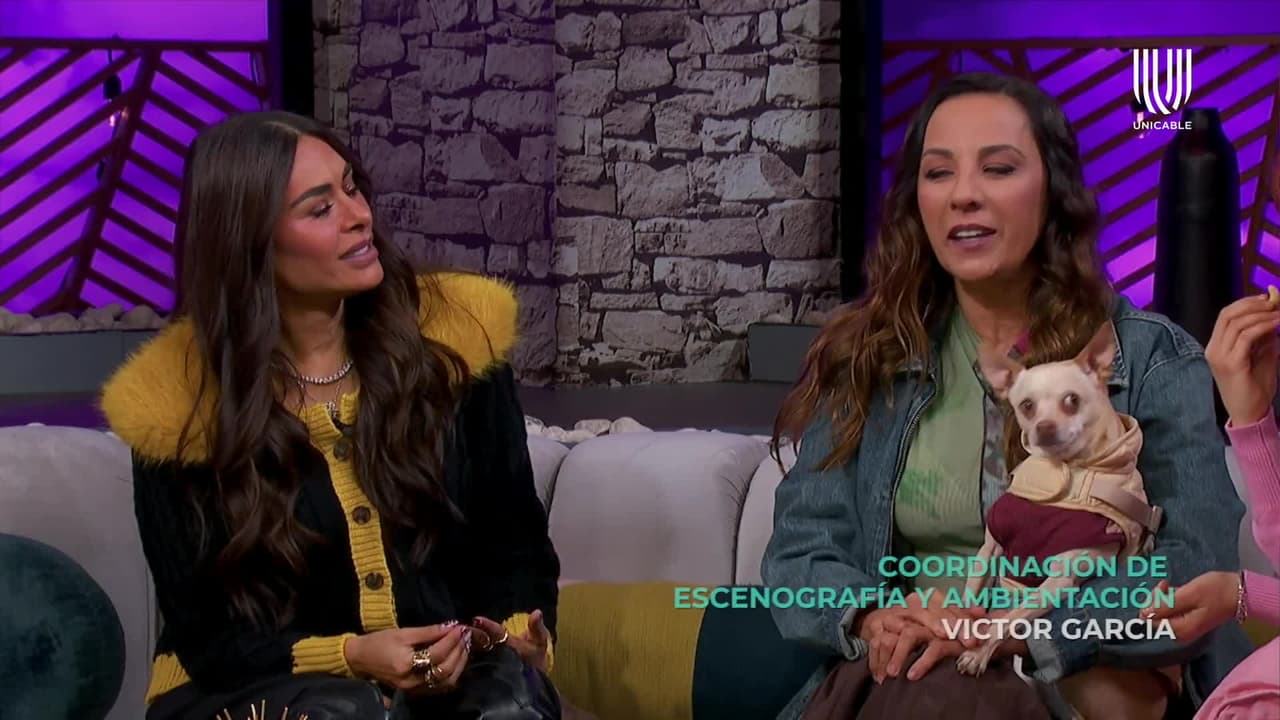 ¡Mensajes secretos! Sofía Niño de Rivera desmenuza el discurso de Bad Bunny en el Super Bowl