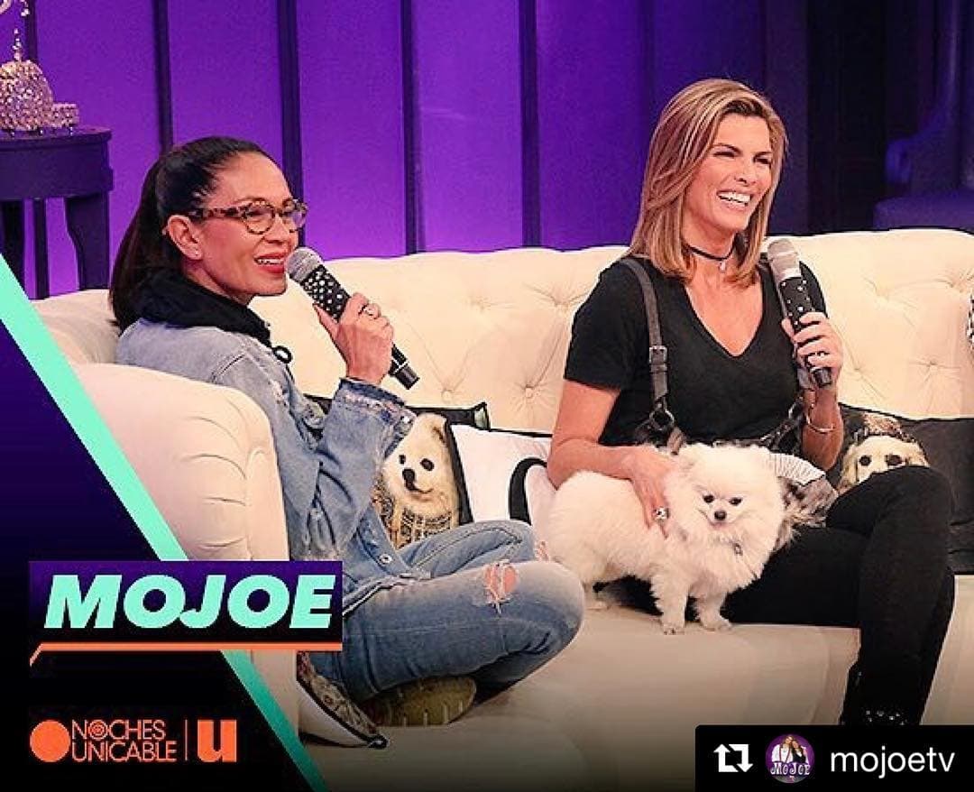 El amor que profesan Mo y Joe por los animales es tan grande que muy seguido podemos ver a sus perritas en los programas y en los viajes. Incluso en junio del año pasado organizaron un concurso para que sus seguidores mostraran a sus mascotas y ganaron como los más tiernos.
