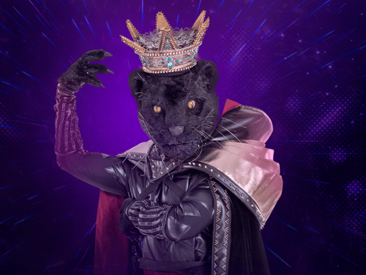Pantera es un personaje atrevido imponente y un poco arrogante. Vive en un castillo medieval, donde es un rey que le gusta acercarse a su gente.