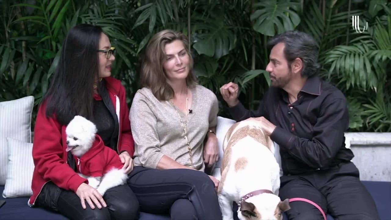 Montse & Joe: ¿Yolanda Andrade quiere regresar con Montserrat Oliver?