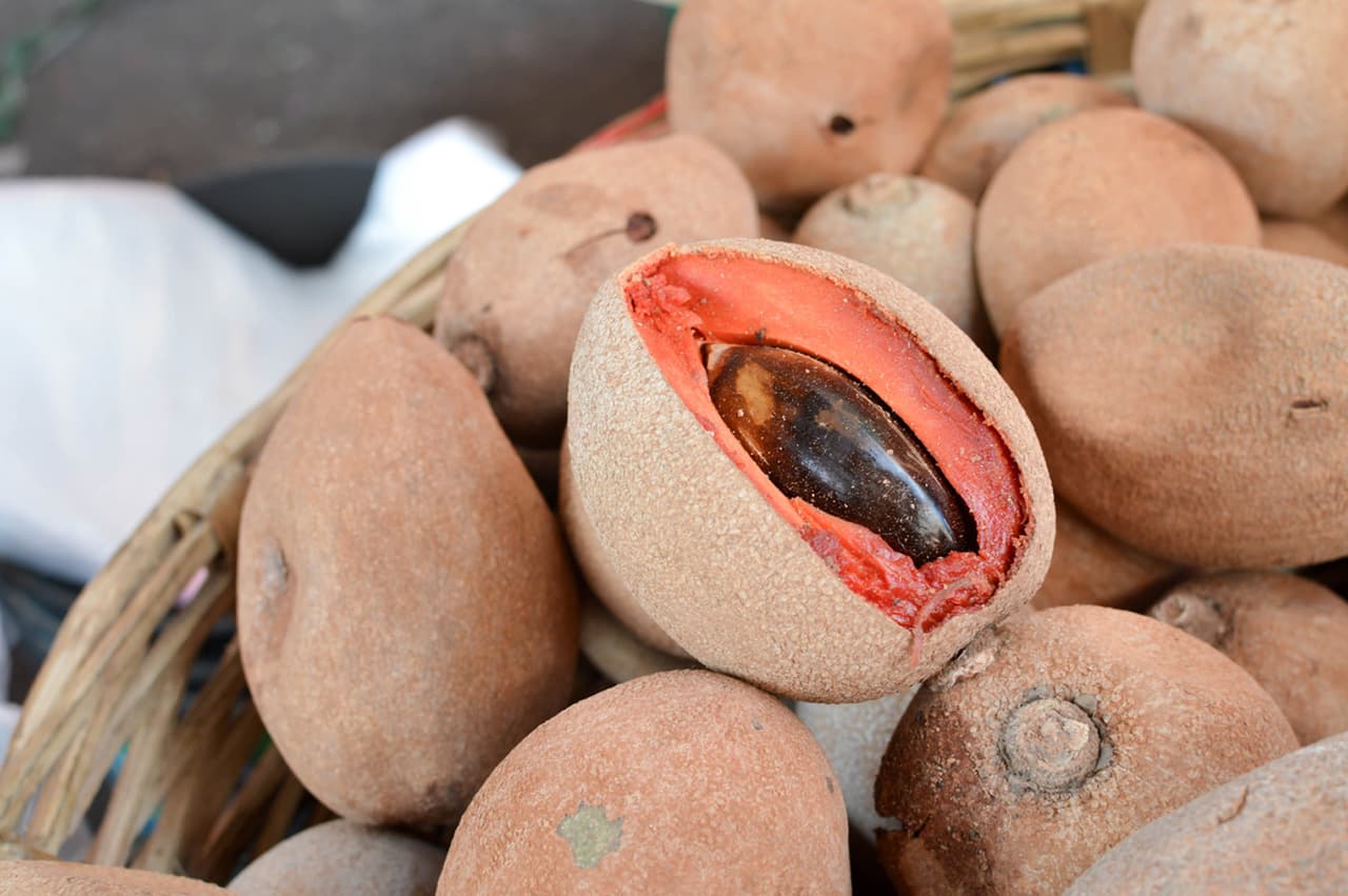 Mamey. ¿Sabías que tiene más calorías que la sandía y el plátano? (FOTO: iStock)