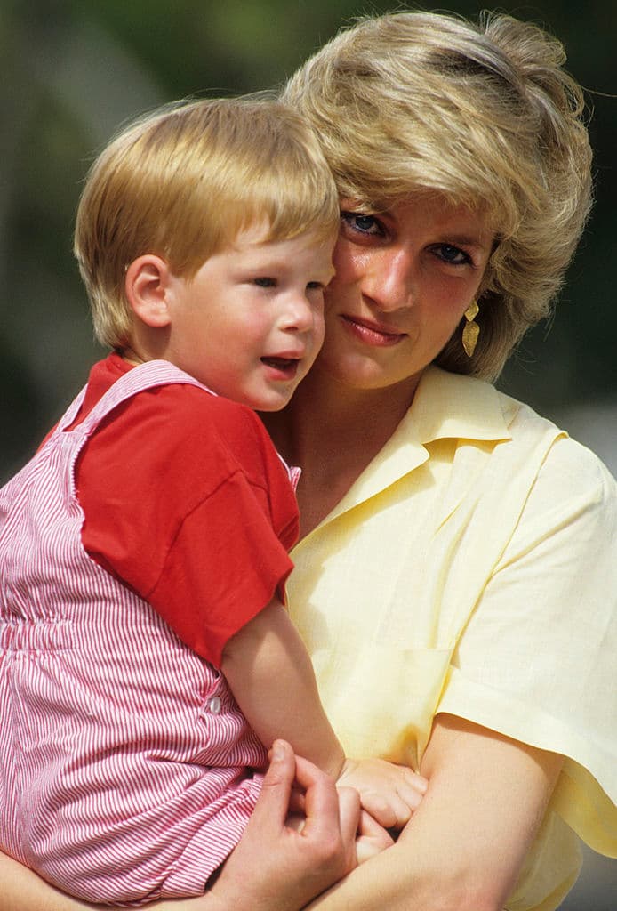 En su momento, 
<i>Daily Star</i> hizo su propia investigación con ayuda de un experto en rasgos hereditarios, el cual desechó la idea de que Harry fuera hijo del profesor de equitación de su madre. En el estudio compartió que el parecido no están claro como se cree, "si se ve con detenimiento". Los mayores puntos a considerar es que el hermano menor de William es "rubio fresa" y no pelirrojo, así como que posee el cabello rizado como su bisabuela, la reina madre Elizabeth. 
<br>
