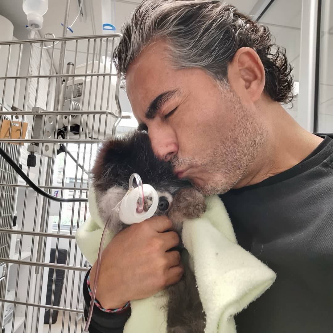 Lamentablemente, hace un par de semanas, Raúl perdió a su perrita Manola, a quien despidió con un bonito mensaje: "Nunca imaginé el dolor que puede sentir alguien por la despedida de un miembro de la familia peludita y llena de alegría! Buen viaje mi Manola hermosa... Gracias por hacernos tan felices! Te amooo para siempre! ❤️❤️❤️😔😔".