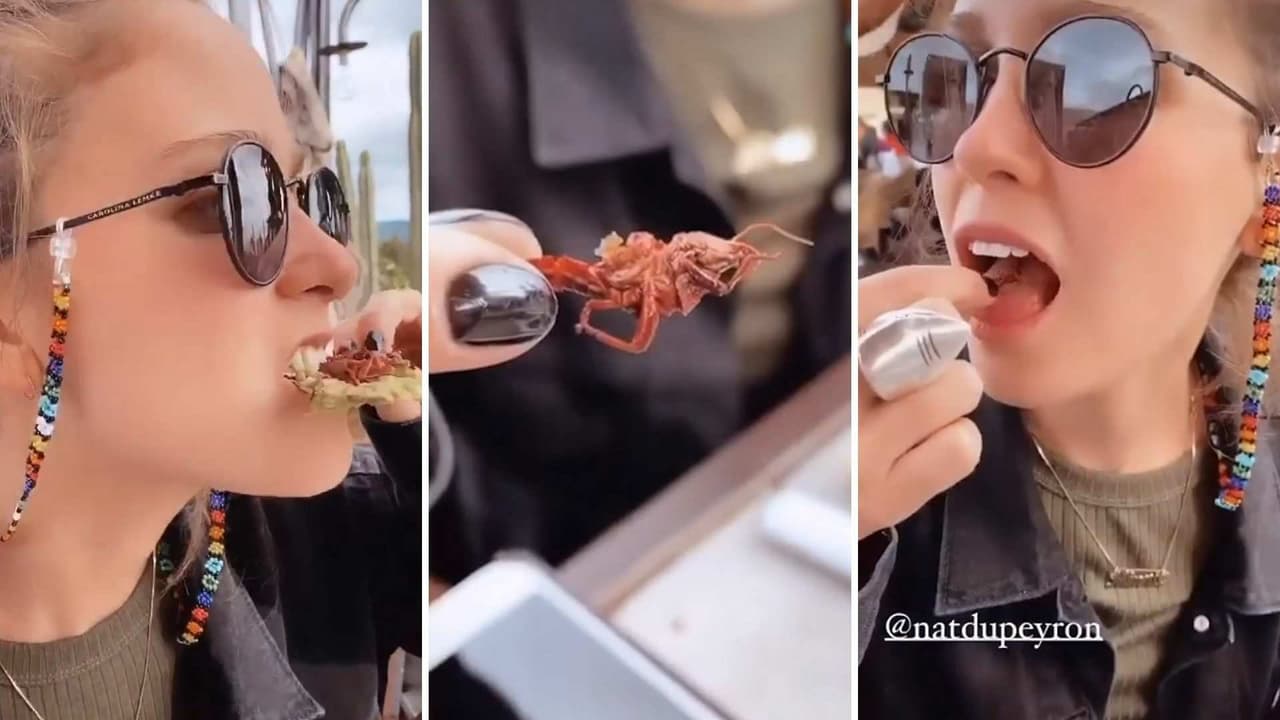 ‘Uy, tronó delicioso’: Natasha Dupeyron presume lo mucho que disfruta comer grillos