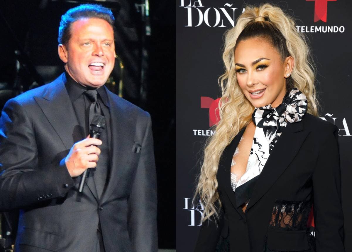 ¿Luis Miguel ya le pagó la manutención de sus hijos a Aracely Arámbula? Esto se sabe