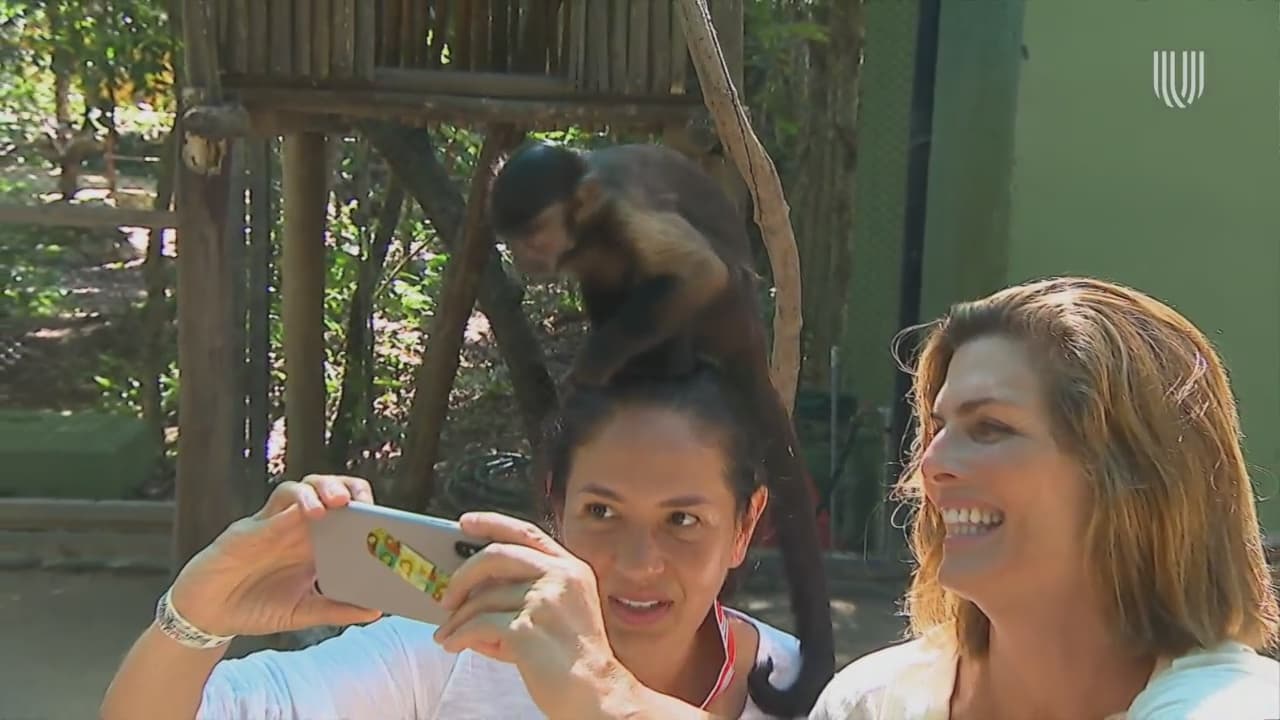 Montserrat Oliver y Yolanda Andrade visitan el santuario de monos Akumal