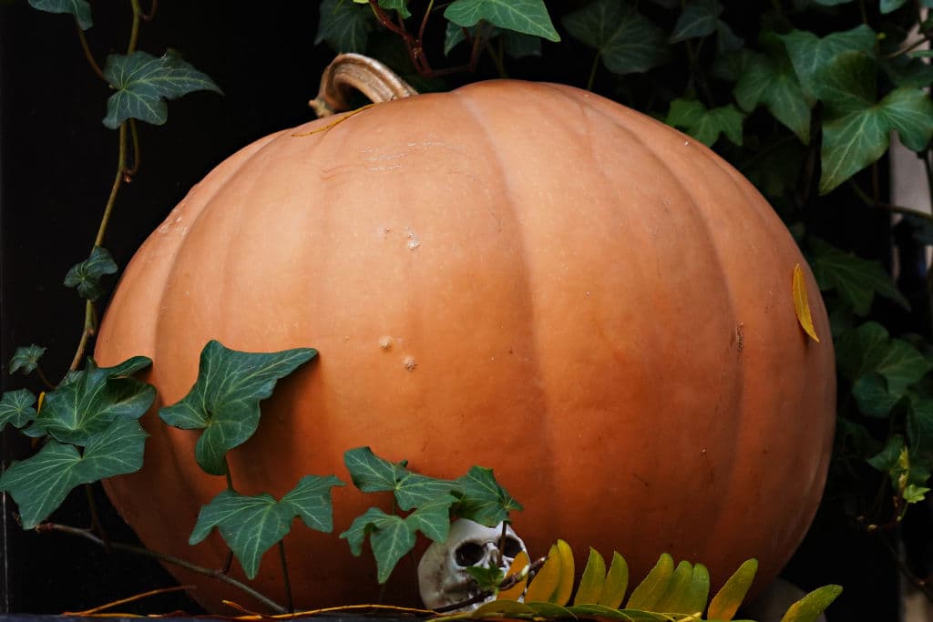NEW YORK, NEW YORK - OCTOBER 31: An Upper East Side home is decorated with a pumpkin for Halloween on October 31, 2020 in New York City. Many Halloween events have been canceled or adjusted with additional safety measures due to the ongoing coronavirus (COVID-19) pandemic. (Photo by Cindy Ord/Getty Images)