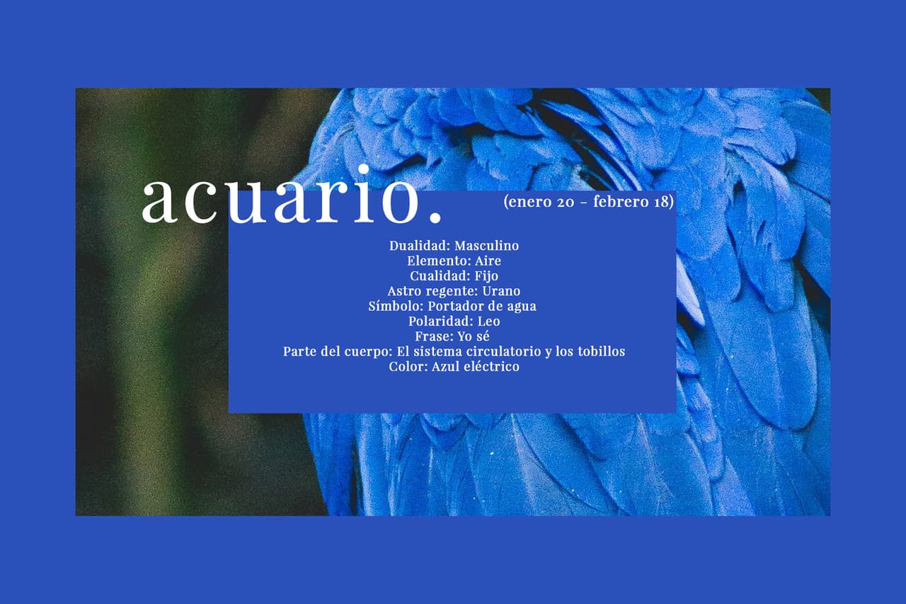 ACUARIO (enero 20 - febrero 18). El onceavo signo del Zodiaco vinculado con la filantropía.
