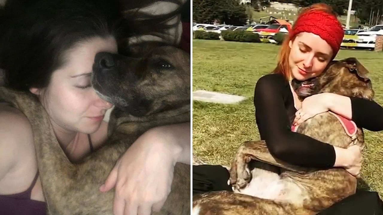 Ariadne Díaz está de luto: lamenta la muerte de su perrita atacada por un cocodrilo