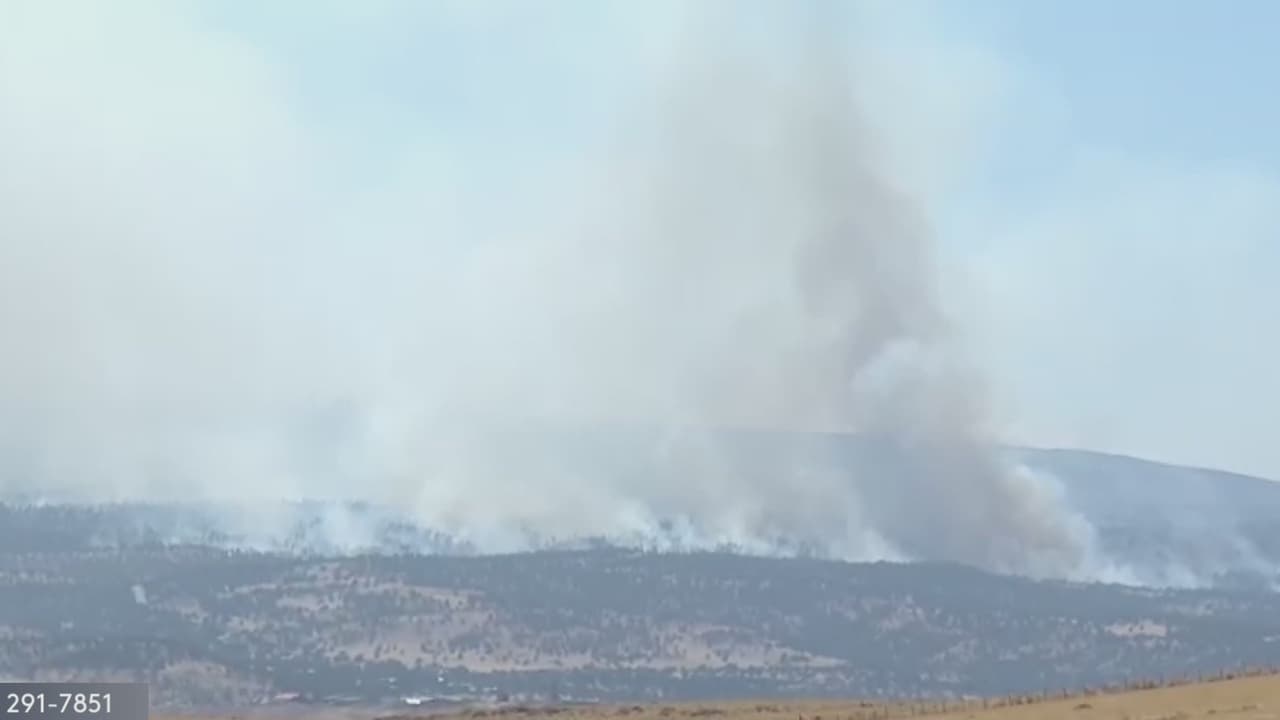 Incendio “Greer” consume más de 9,500 acres en el este de Arizona