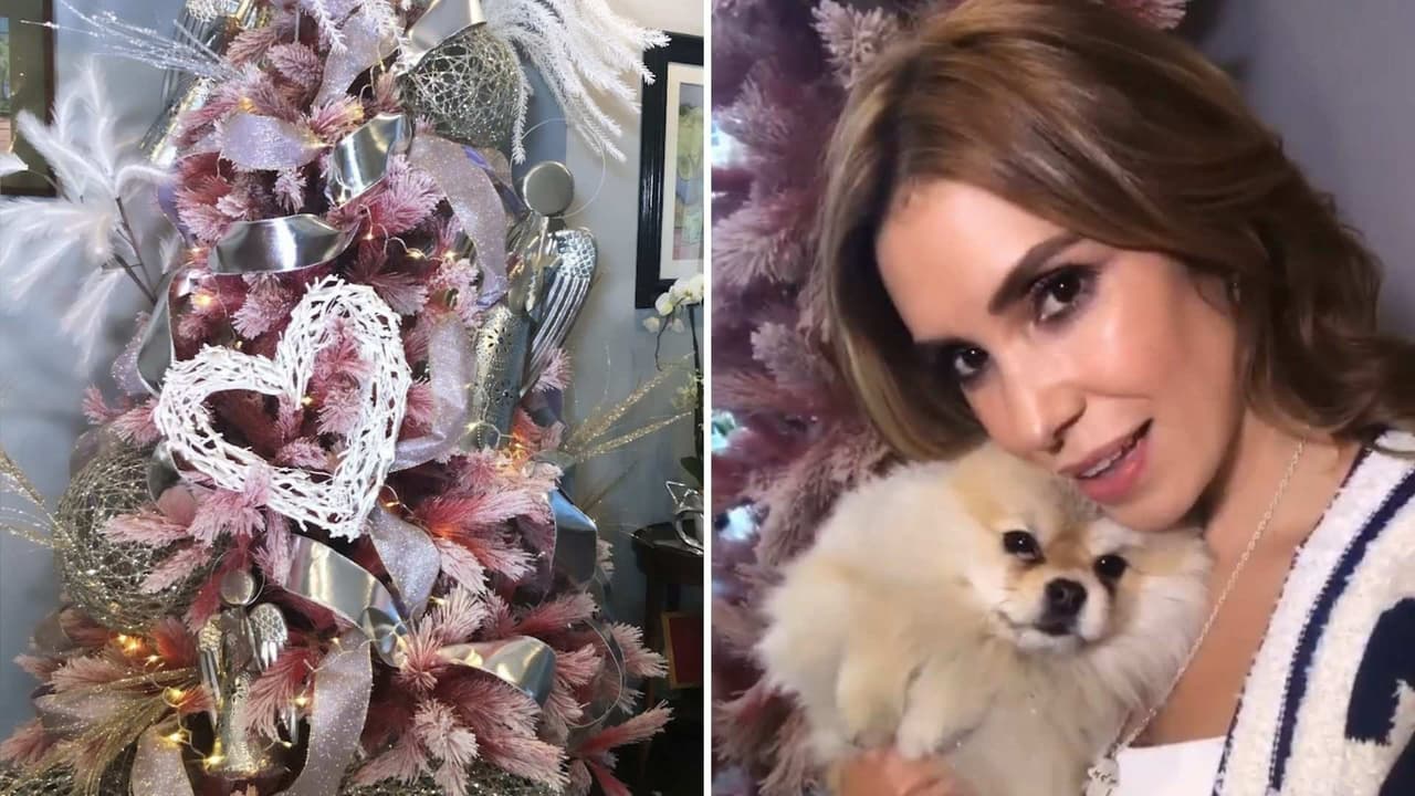 ‘Quería ser el Grinch y se me obligó’: Andy Escalona tras poner su mágico y rosado árbol de Navidad