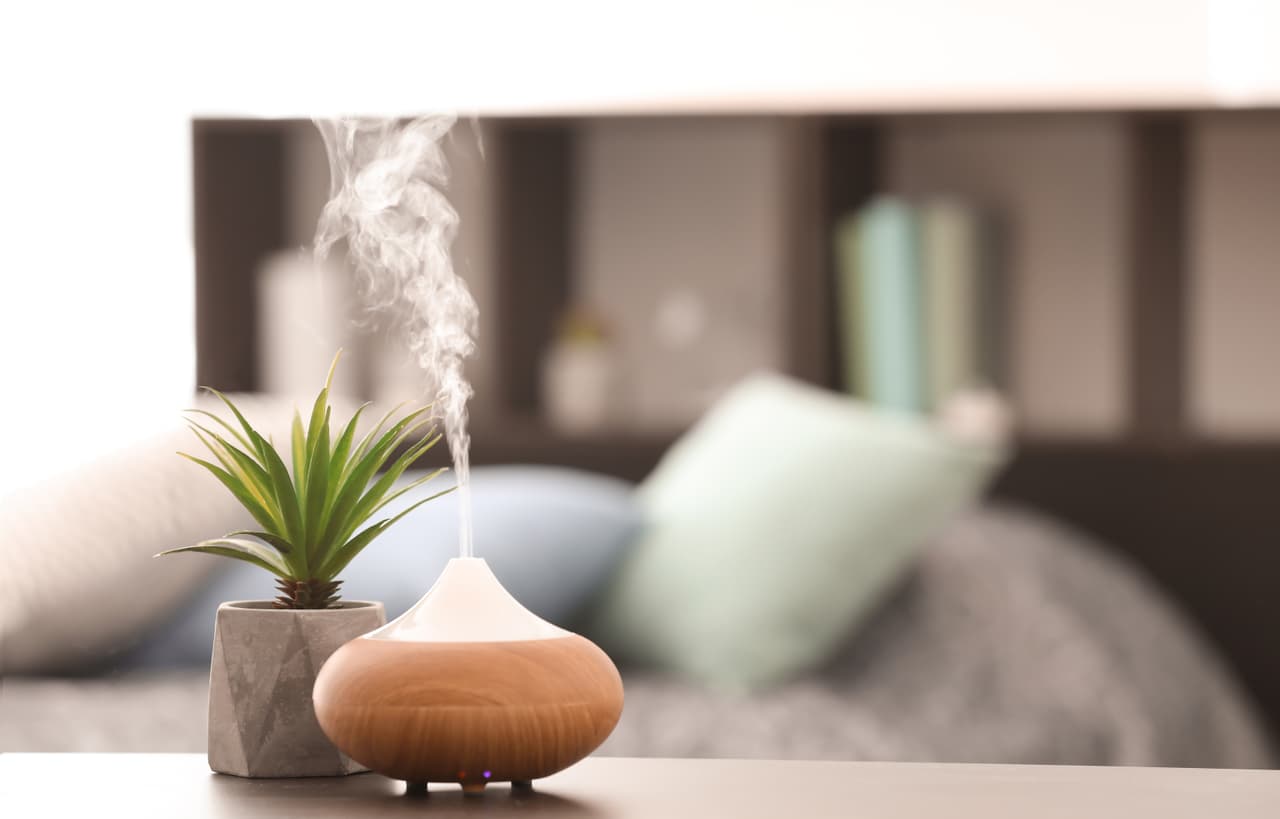 Para los más hogareños: Hay una gran variedad de difusores que harán de cada espacio uno muy cómodo y dependiendo del gusto de cada quien, hay diversos aceites y aromas que se pueden utilizar.
