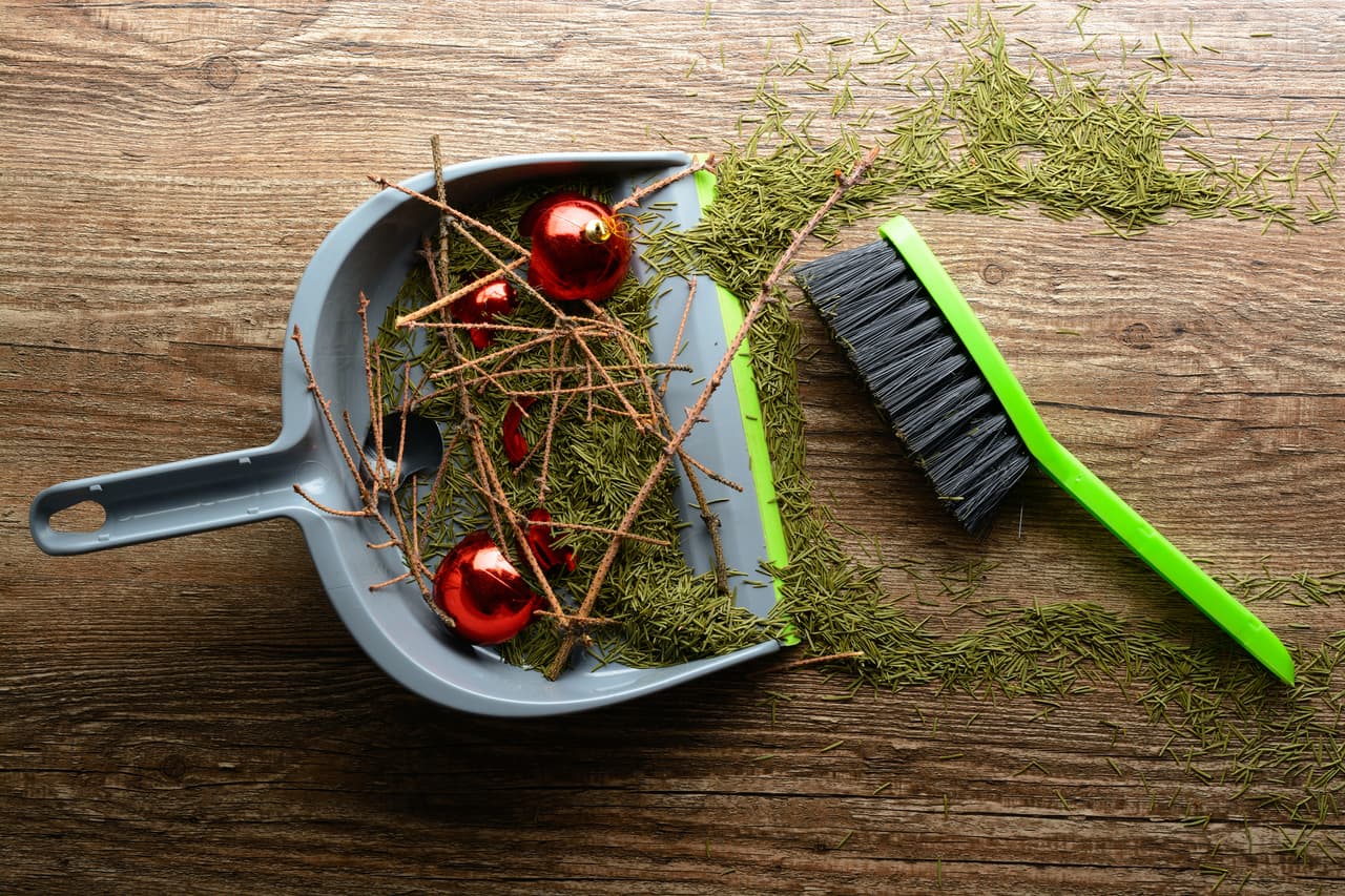 Scoop with a brush, dry twigs, fallen spruce needles and broken ball