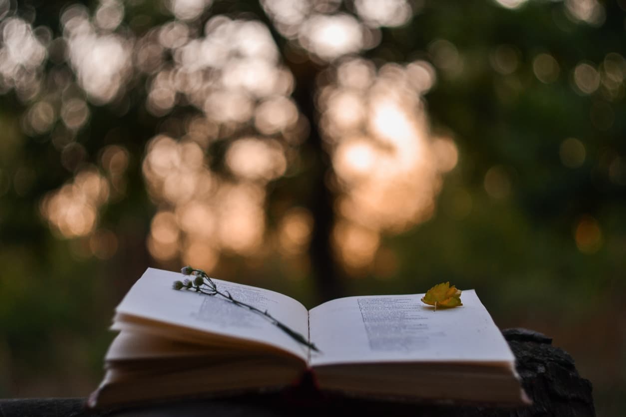 frases de poemas