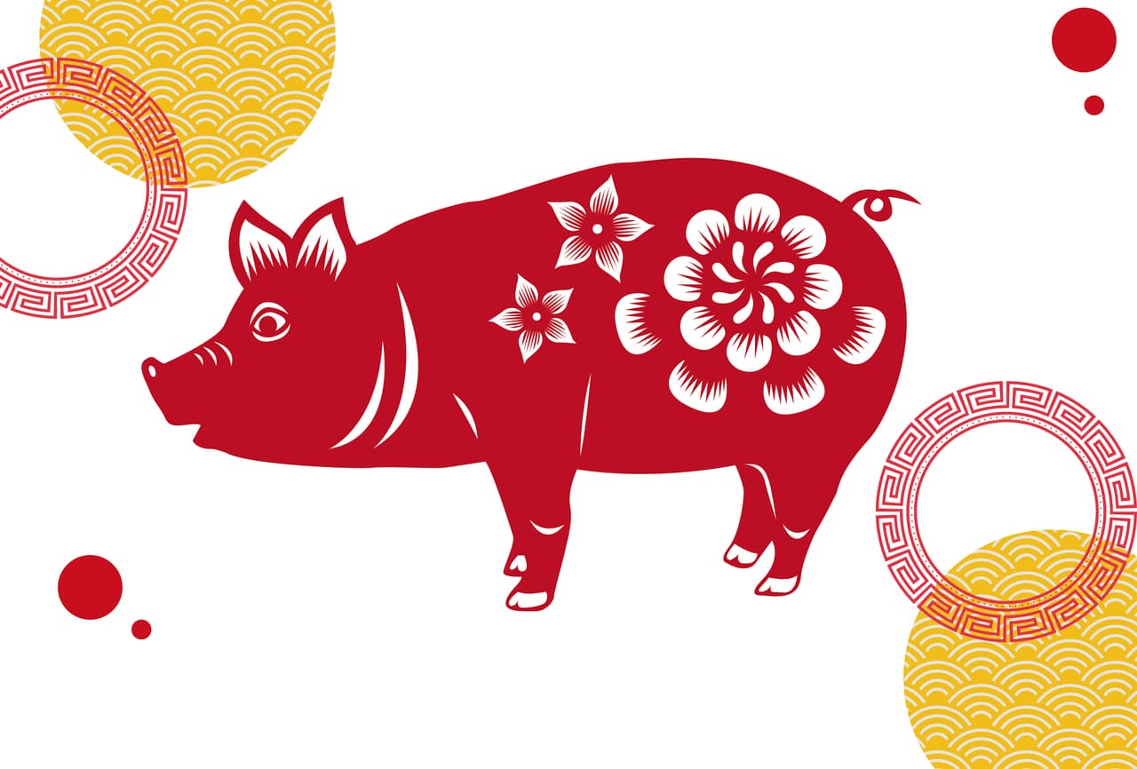 CERDO Este signo representa a todos los nacidos en los siguientes años: 1947, 1959, 1971, 1983, 1995, 2007 y 2019. Características: Son leales en su trabajo, creativos, artísticos y tienen una gran carisma. En su lado negativo, dejan que la ansiedad les gane muy fácilmente y en ocasiones se auto sabotean. En este 2020: Te la pasarás de fiesta, echarás mucho relajo, conocerás nueva gente y conectarás nuevamente con relaciones anteriores a un nivel romántico y hasta sexual.