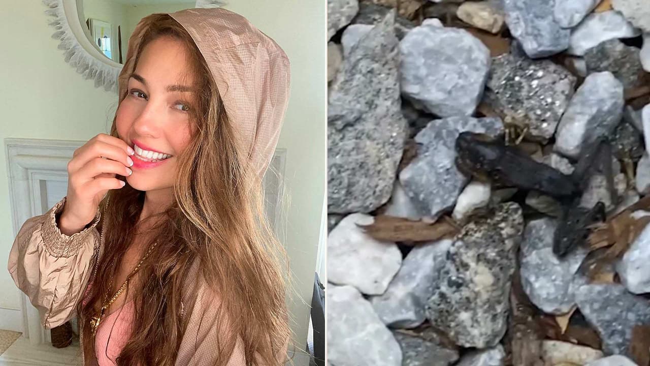 Video: “Qué terror”, Thalía se encuentra a una “rana ya en momia” y hasta a una víbora