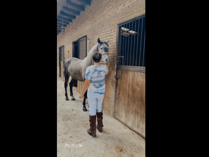 La pareja de Angelique Boyer llevó a su hijo a una granja, en donde estuvieron compartiendo varios momentos con los animales, sobre todo con los caballos, pues aprovecharon para darles de comer.