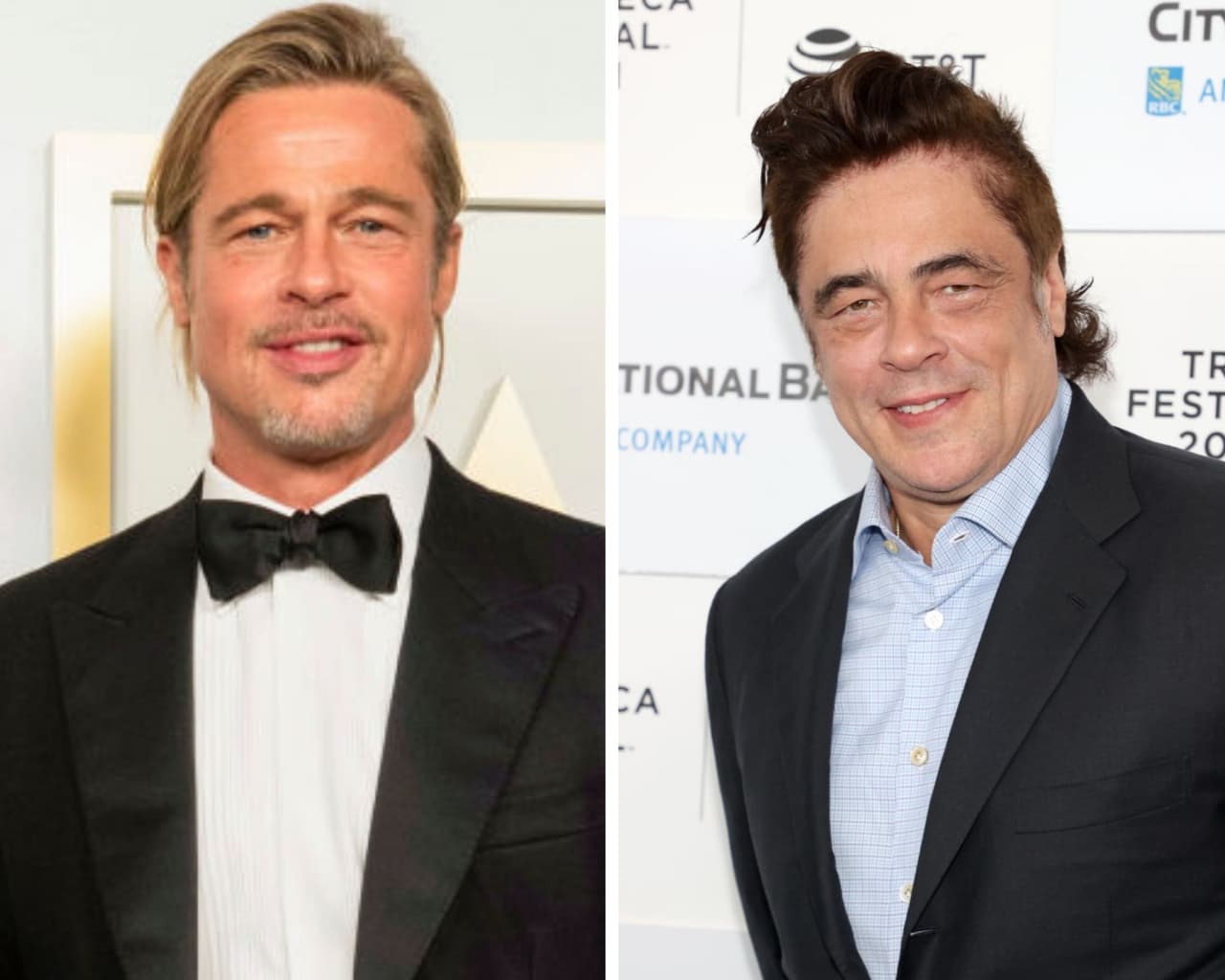 <b>Brad Pitt y Benicio del Toro</b>