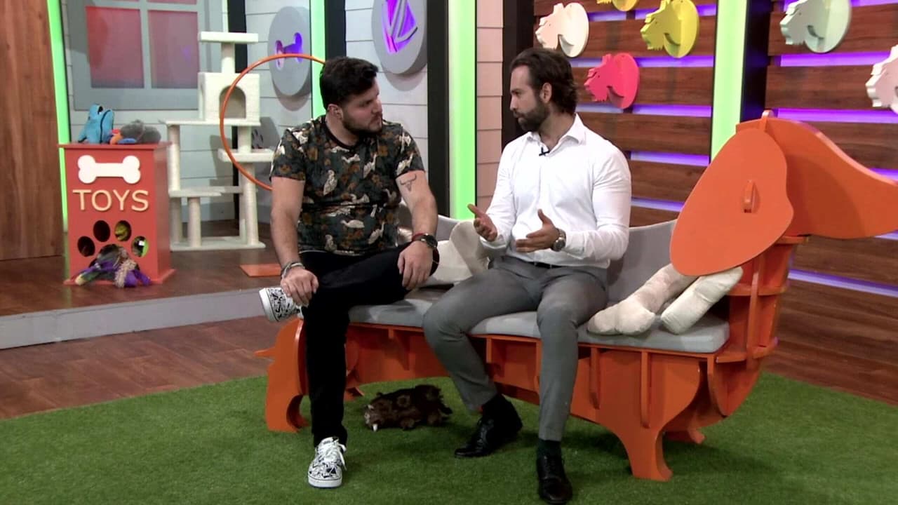 Diego de Erice comparte el superpoder de su mascota Boston: 'sus ojitos tiernos'