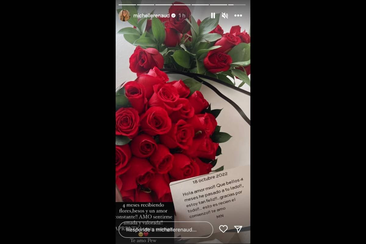 Matías Novoa revela lo que más lo enamoró de Michelle Renaud