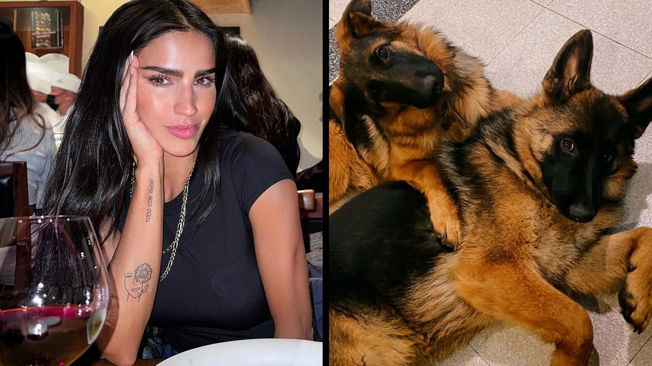 Bárbara de Regil cuenta cómo está salvando la vida de su perrita Shelvy