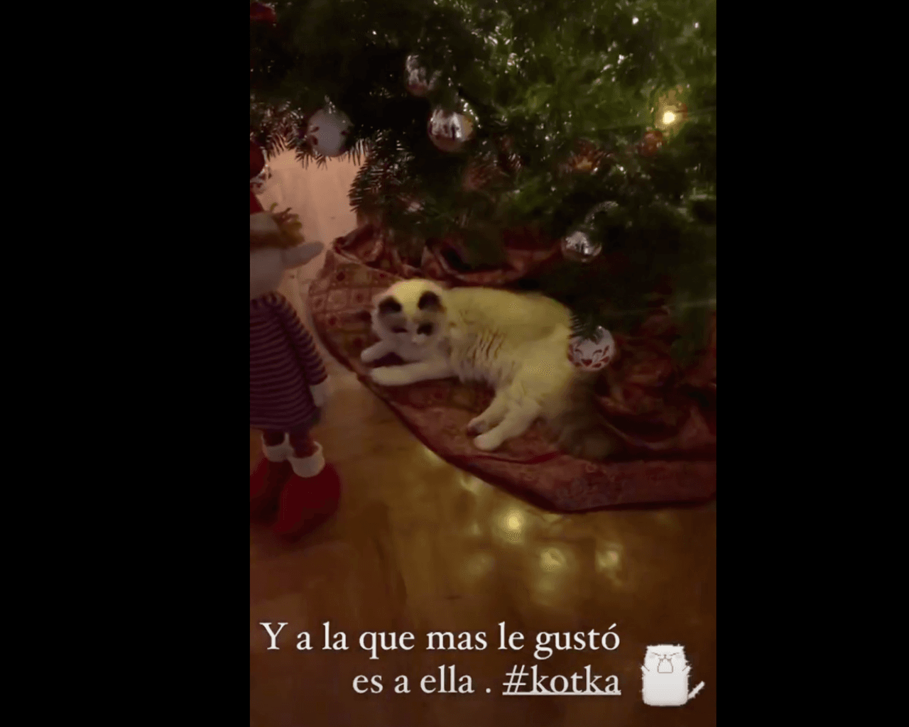 Mascota de Ludwika Paleta