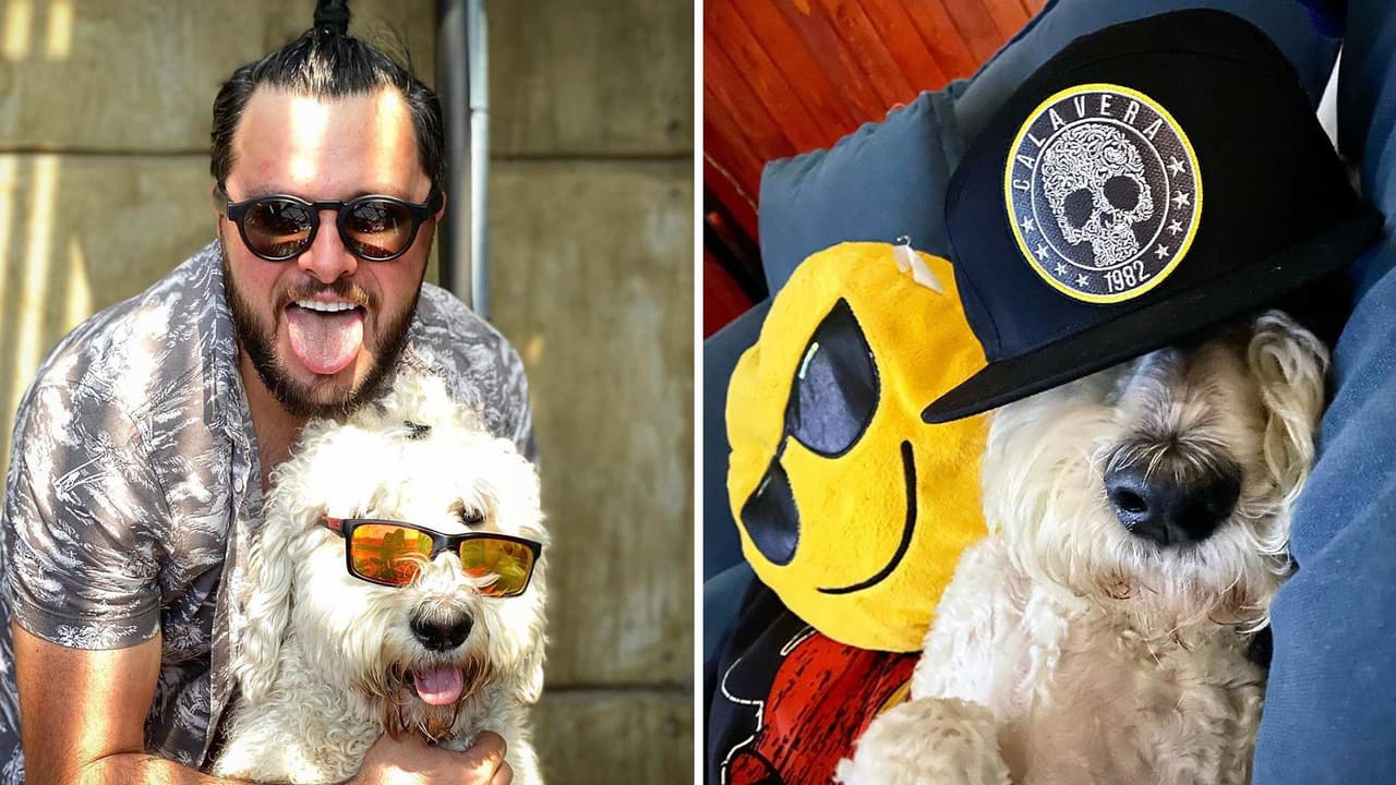 Paul Stanley intercambió ropa con su perro Paquito y este fue el resultado