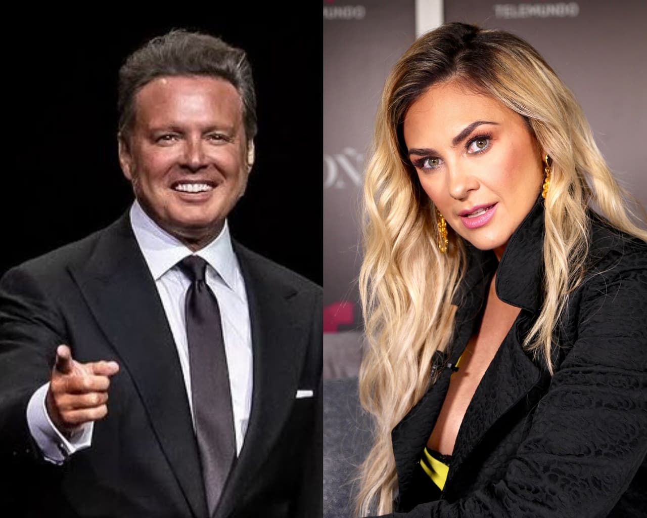 Luis Migue envió contundente mensaje sobre Aracely Arámbula en su bioserie.