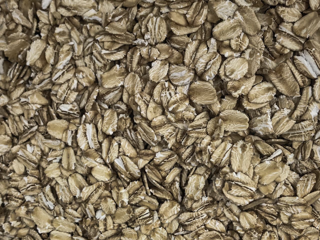Avena