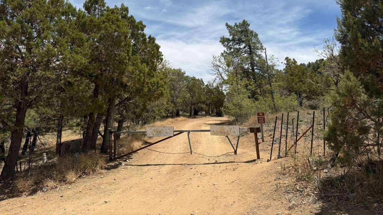 Hallan los cuerpos de dos adolescentes en un camino entre Mesa y Payson: investigan los homicidios