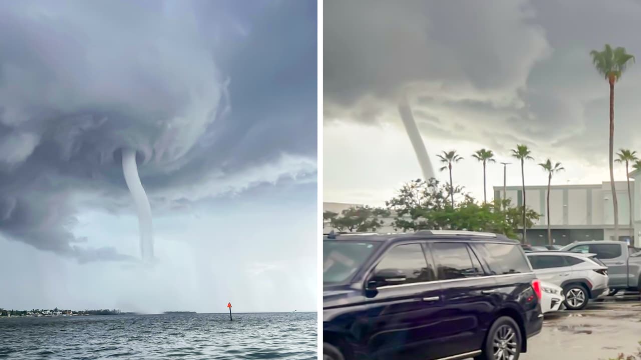 Esto no es ficción: Lo grabaron en el río Manatee, en Florida