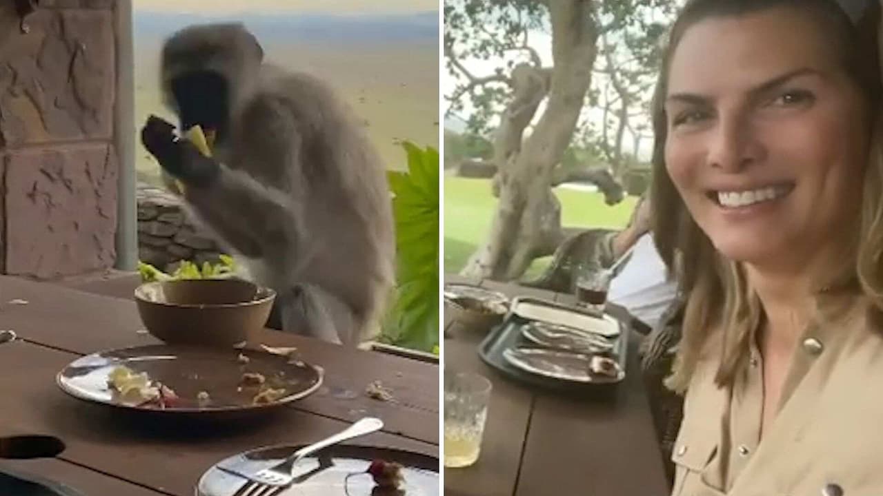 Montserrat Oliver y su hermana fueron víctimas de ‘robo’; un mono les quitó su comida