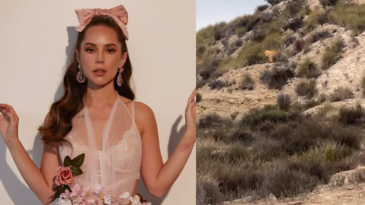 Camila Sodi se encuentra a un ‘tigre’ en plena grabación en las montañas