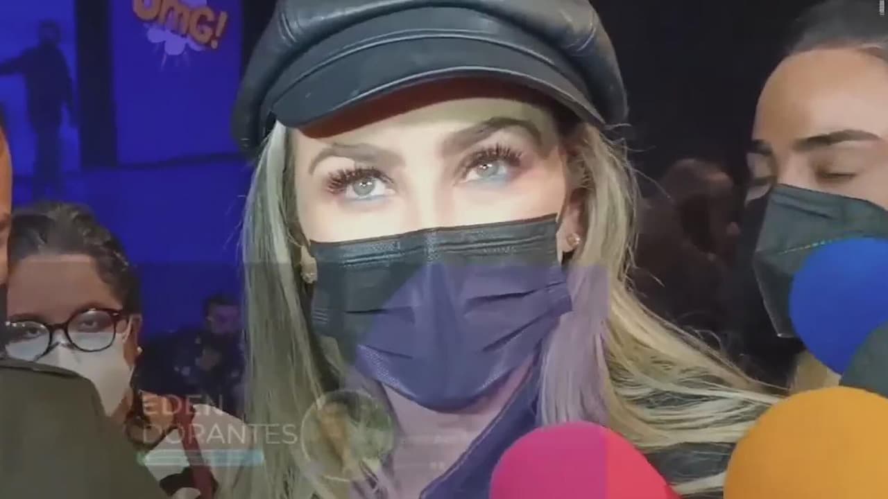 ¿Aracely Arámbula prepara su regreso a las telenovelas?