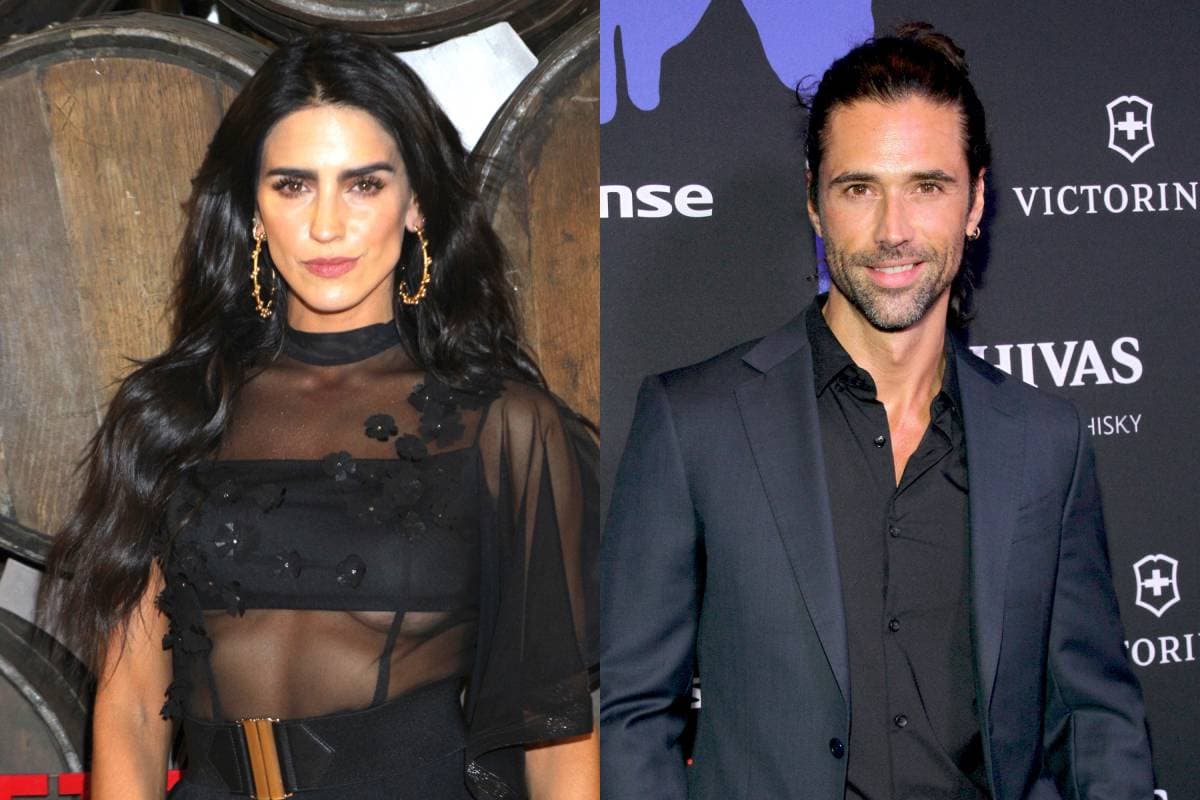 ¿Bárbara de Regil y Matías Novoa fueron novios? Así respondieron