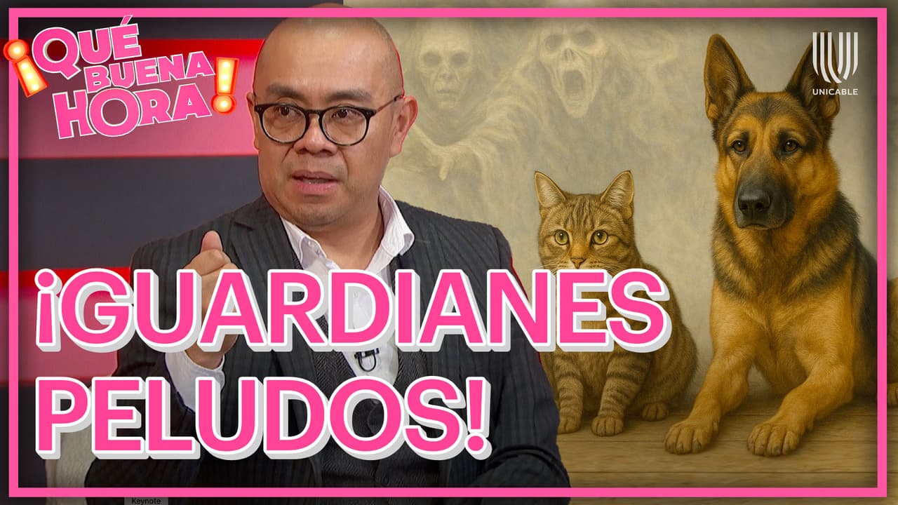 ¿Creencia o realidad? Las mascotas que detectan espíritus oscuros