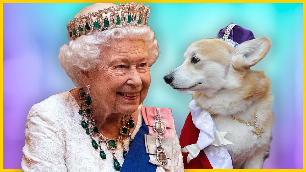 ¿Qué pasará con los corgis de la reina Isabel II?
