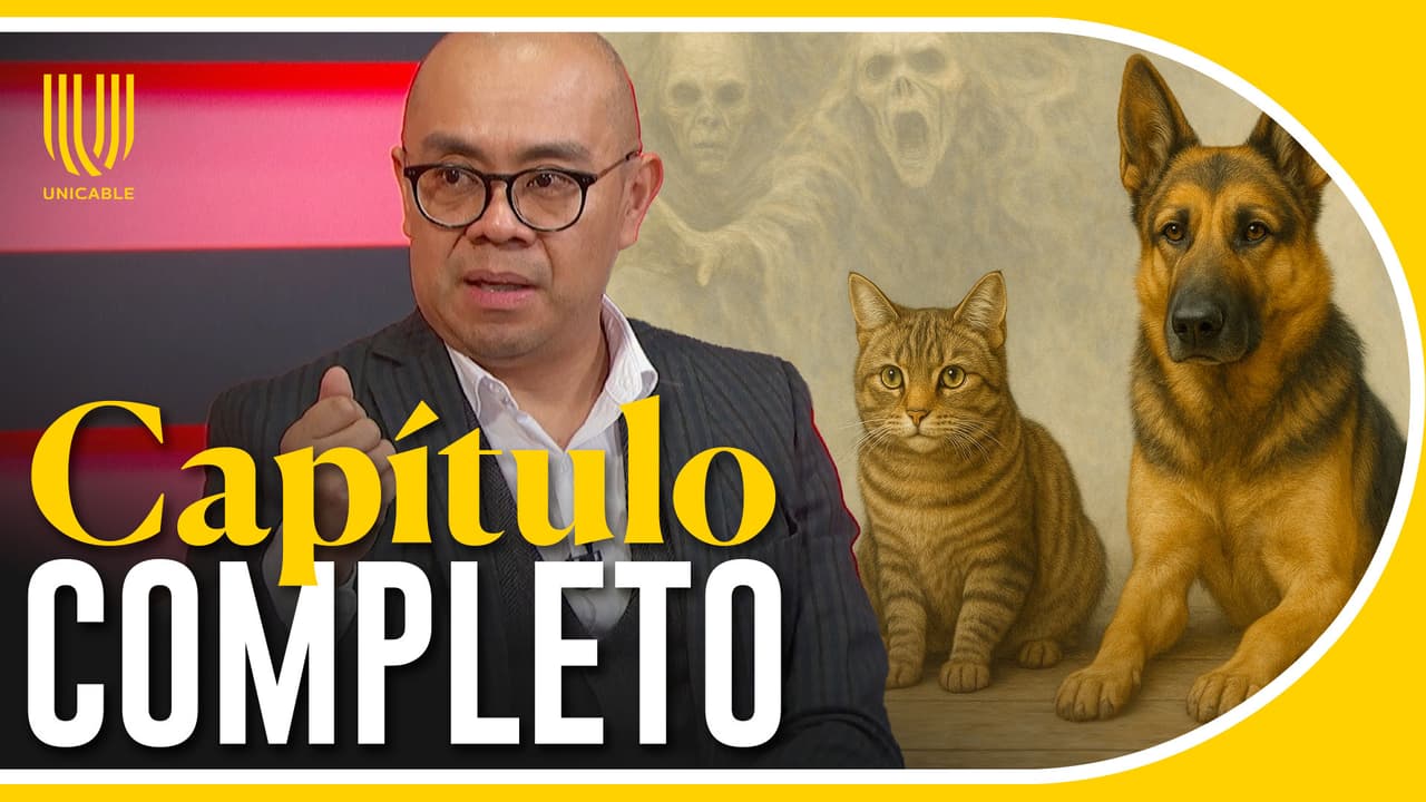 Qué Buena Hora programa completo - Mascotas guardianes