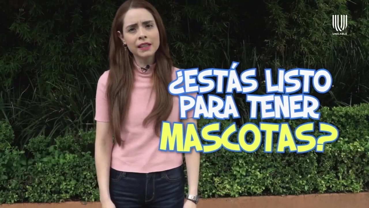 ¿Estás listo para tener una mascota? Maryfer Centeno te dirá si lo estás