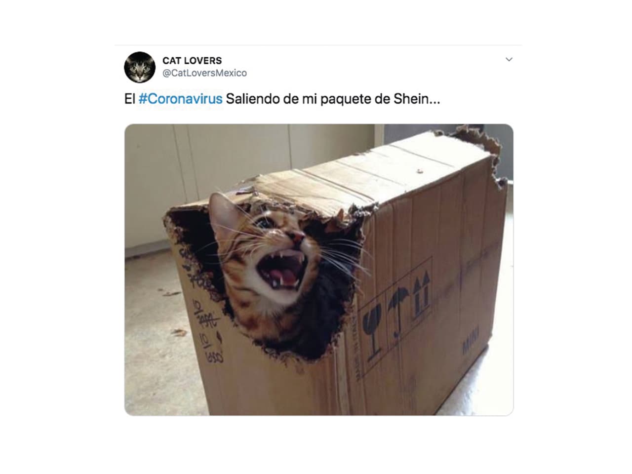 Cuando recién comenzó a llegar a otros países, surgió el rumor de que el COVID-19 podría llegar en paquetes provenientes de china. La OMS tuvo que publicar un comunicado informando a la gente que es imposible contagiarse por una carta o paquete enviado desde aquel país.