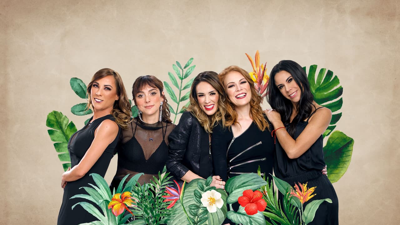 Netas Divinas