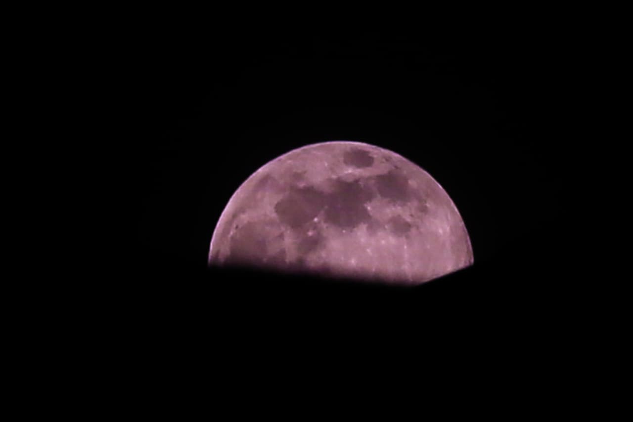 Desde fotógrafos profesionales, hasta artistas amateurs con aficionados a la fotografía con celular, lograron capturar las mejores imágenes de la pasada superluna rosada.