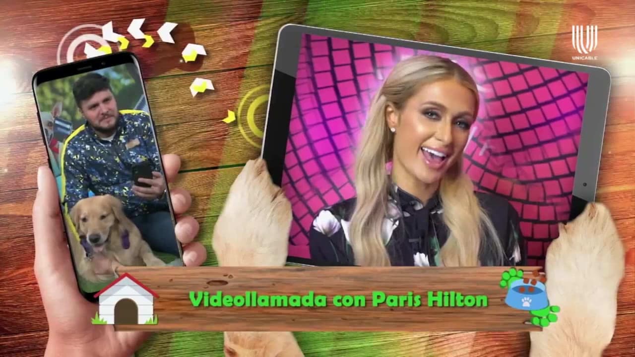Paris Hilton expresa el amor que siente por sus mascotas